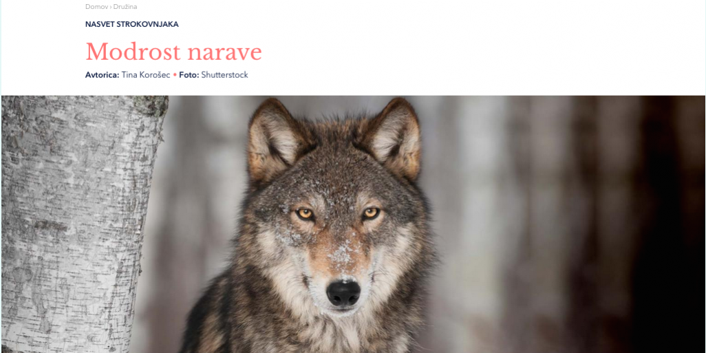 modrost narave